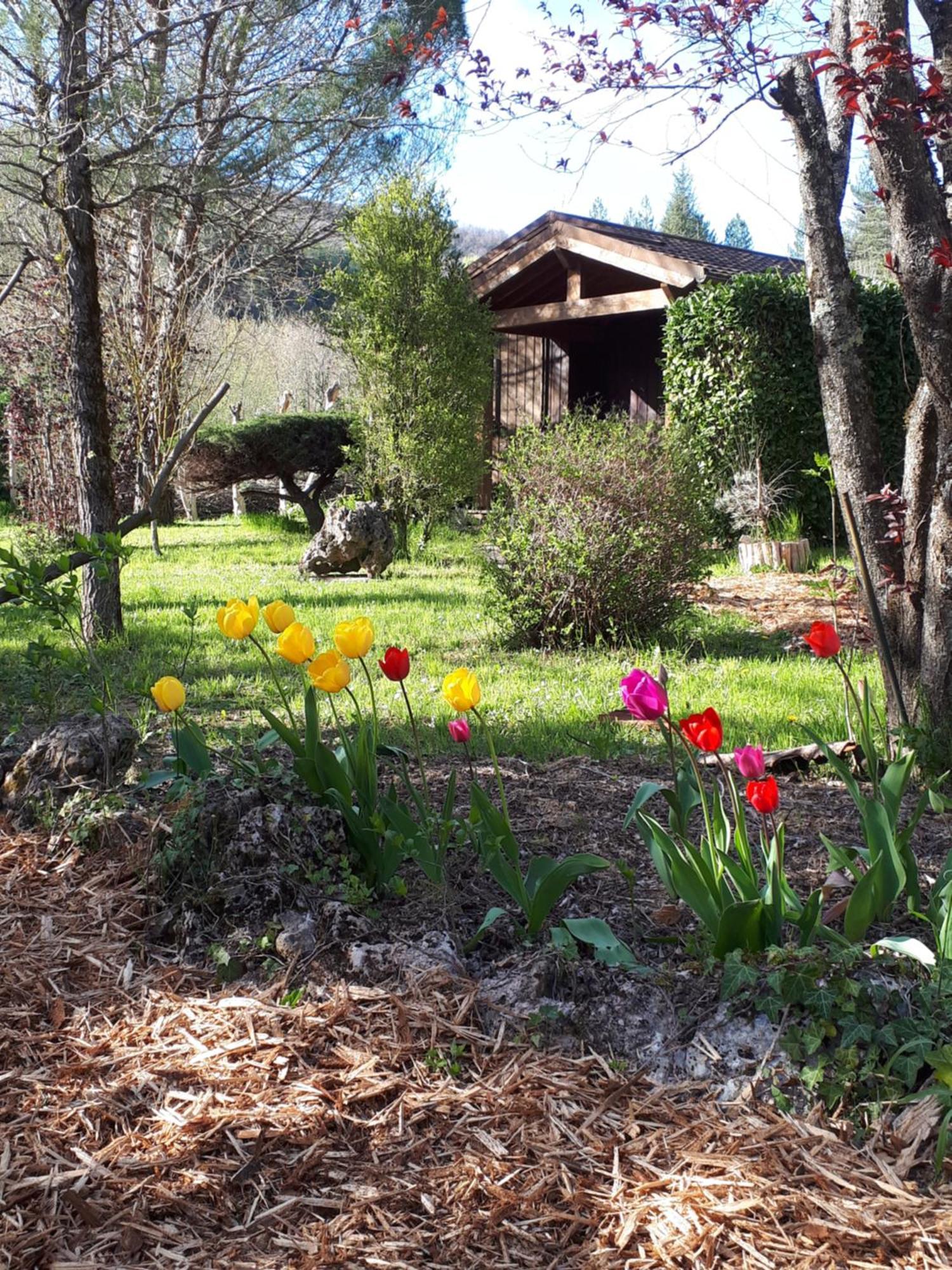 Les Chalets Du Roc Alzon Bagian luar foto